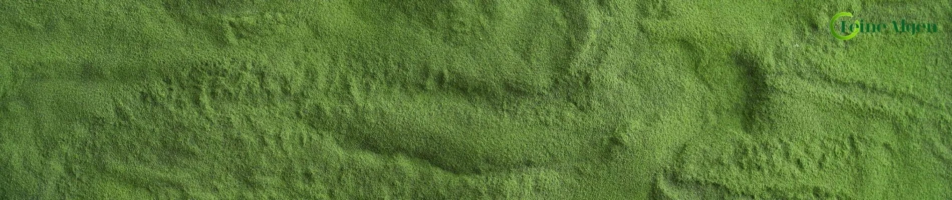 Unsere Eigenprodukte - Feine Algen