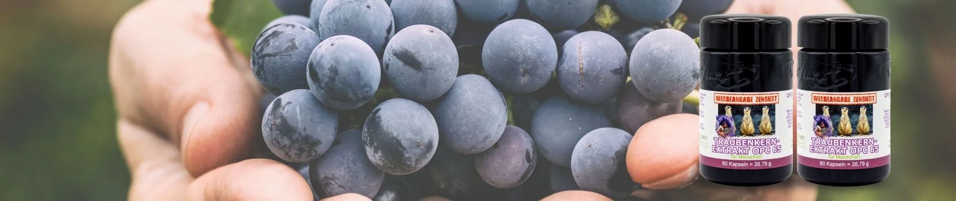 OPC Traubenkernextrakt
