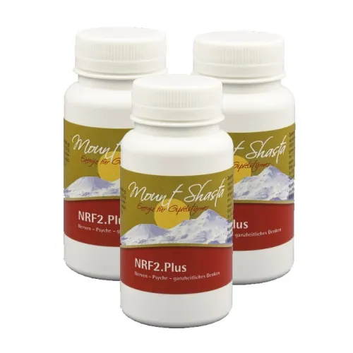 3 x Mount Shasta NRF 2 Plus 90 Kapseln Kognitive Funktionen