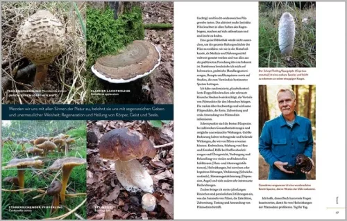 Ganzheitliche Anwendung von Heilpilzen von Christopher Hobbs