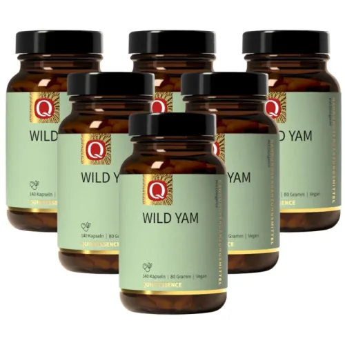 6 x Wilde Yams Wurzel 140 Kapseln Quintessence