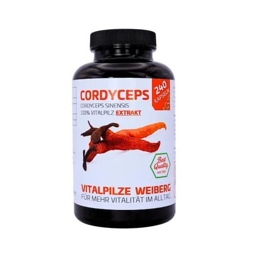 Cordyceps Extrakt 240 Kapseln von Vitalpilze Weiberg
