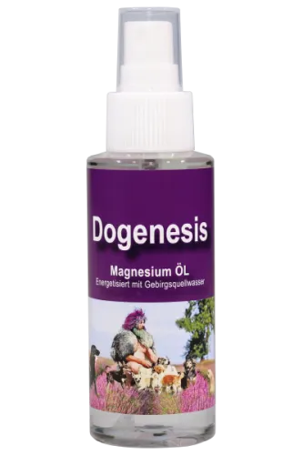 Magnesiumöl 100ml von Robert Franz