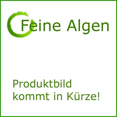 Kurkuma Tinktur 50ml Glasflasche