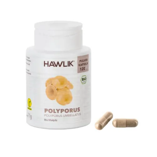Polyporus BIO 120 Pulverkapseln Hawlik Vitalpilze