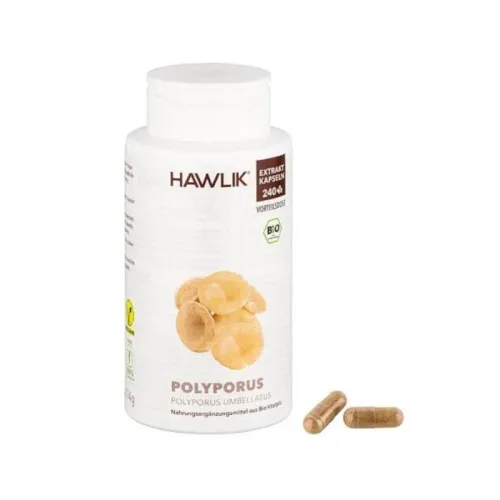 Polyporus Extrakt BIO 240 Kapseln
