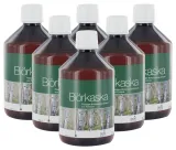 6 x Ulmiana Birkenasche-Extrakt 500ml