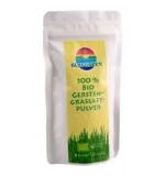 BIO Gerstengrassaftpulver von Bluegreen 100g Rohkostqualität