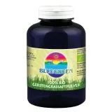 BIO Gerstengrassaftpulver von Bluegreen 600g Rohkostqualität