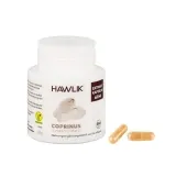 Coprinus Extrakt 60 Kapseln Hawlik BIO