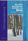 Die außergewöhnlichen Heilkräfte der Birke