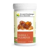 Guggul+Pleurotus 180 vegane Kapseln