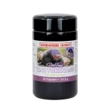 Nattokinase von Robert Franz 90 Kapseln