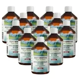 Rocky Mountain Phyto-Mikromineralien Ur-Essenz 12 x 500ml - das Original