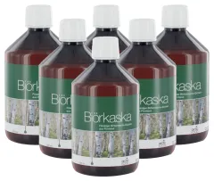 6 x Ulmiana Birkenasche-Extrakt 500ml