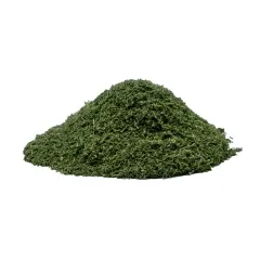 Artemisia Annua Einjähriger Beifuß 100g BIO