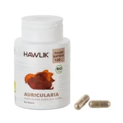 Auricularia BIO 120 Pulverkapseln Hawlik