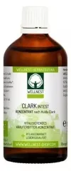 Clark Intest Kräuterbitter-Konzentrat 100ml