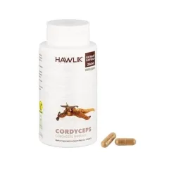 Cordyceps Extrakt 240 Kapseln Hawlik