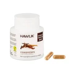 Cordyceps Extrakt 60 Kapseln Hawlik