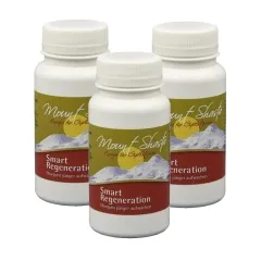 Mount Shasta Smart Regeneration 3 x ca. 100 Kapseln