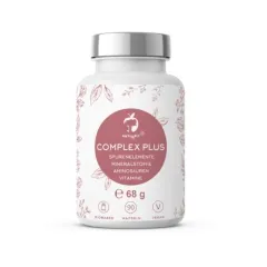 Naturvit Complex-Plus 90 Kapseln Vitalstoffkombination