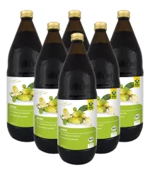 Noni-Saft BIO 6 x 1000ml