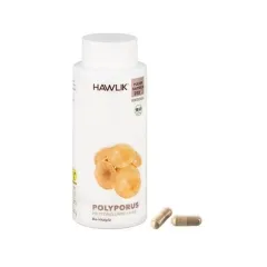 Polyporus 250 Pulverkapseln BIO Hawlik Vitalpilze