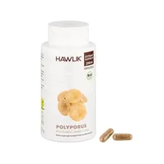 Polyporus Extrakt BIO 240 Kapseln