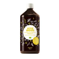 Vita Biosa BIO 1000ml Ingwer