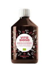 Vita Biosa BIO 500ml Hagebutte