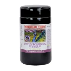 Vitstoffkomplex 90 Kapseln Robert Franz